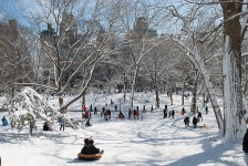 Central Park after a snowstorm