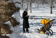 Central Park after a snowstorm