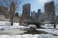 Central Park, NYC after a snow storm