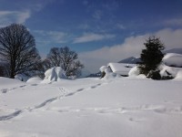 Explore the beauty of nature while snowshoeing