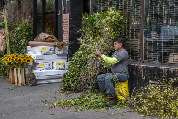 Those shops receive every morning fresh flowers and bushes.