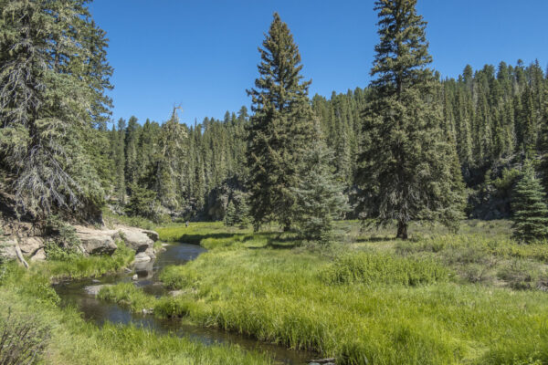 Valles Caldera, close to Los Alamos.