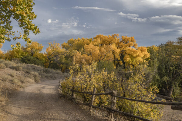 An invitation for a hike.