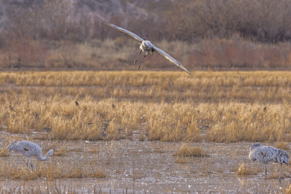 Final approach with a sharp left turn.