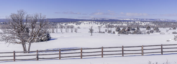 On our way North to Durango, just outside of Chama