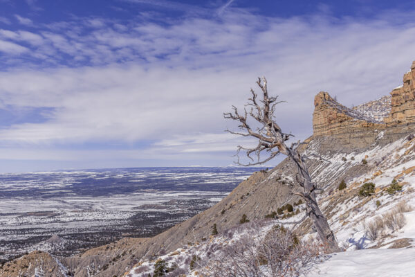 We are in the Four Corners area with New Mexico, Colorado, Utah & Arizona