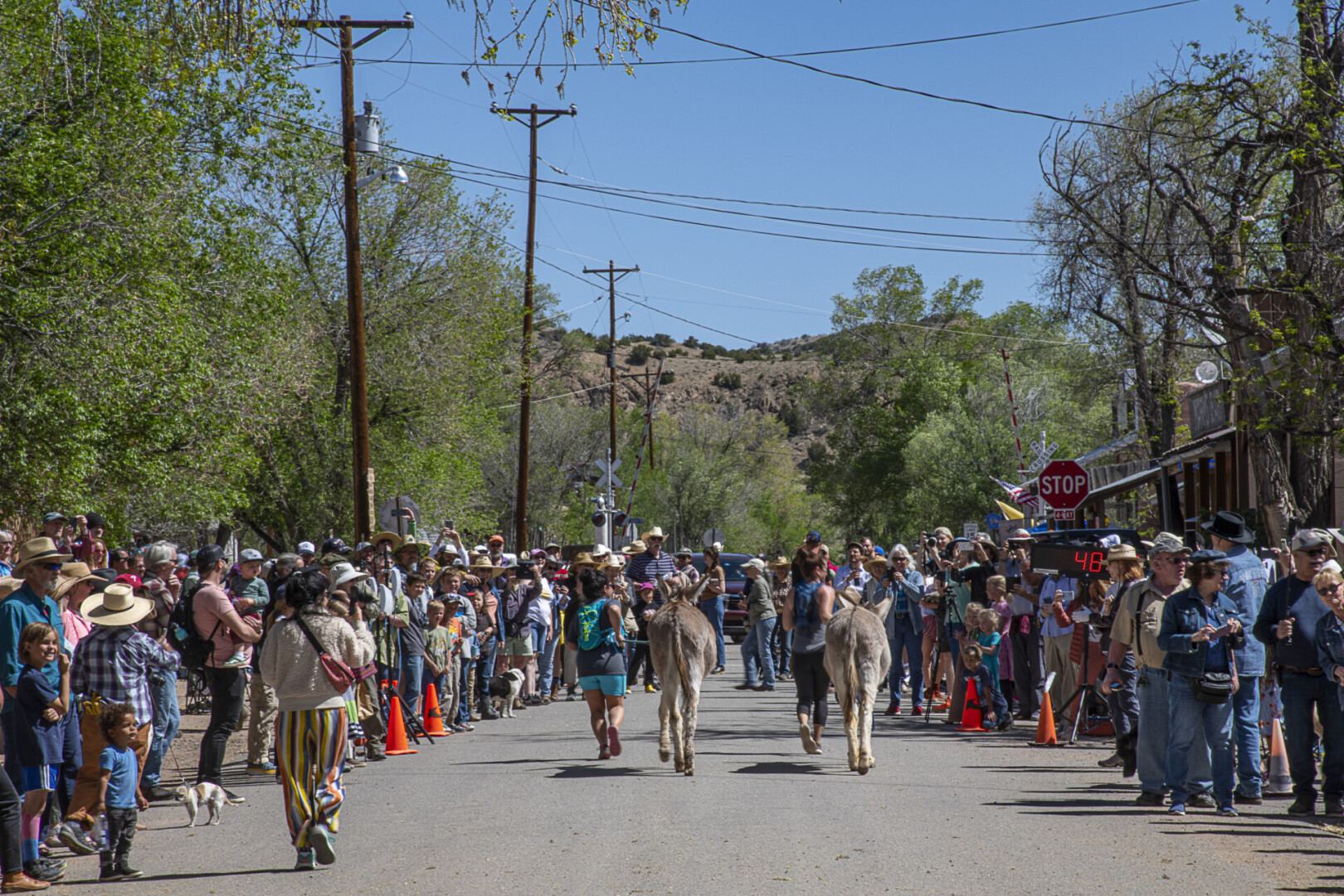 Enthusiastic crowd applause the burros and their runners