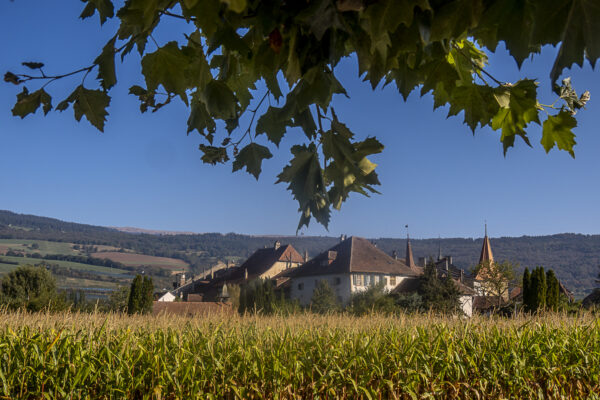 Town of Le Landeron