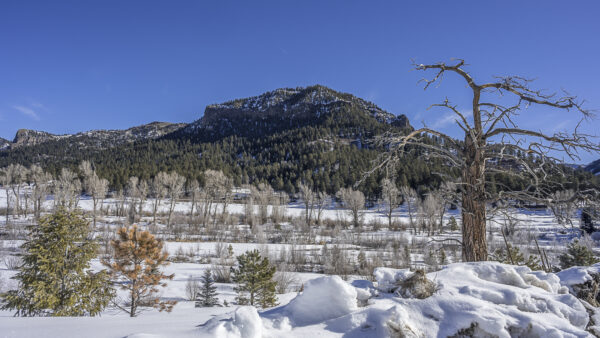 View on US. Route 160 towards Wolf Creek Pass