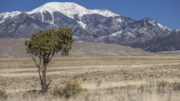 The Great Sand Dunes in front of the Sangre de Cristo mountains 13'200 feet + (4000müM +). 