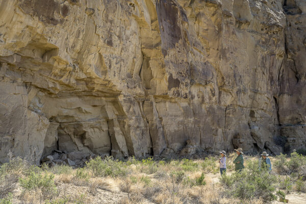 Looking out for Petroglyphs