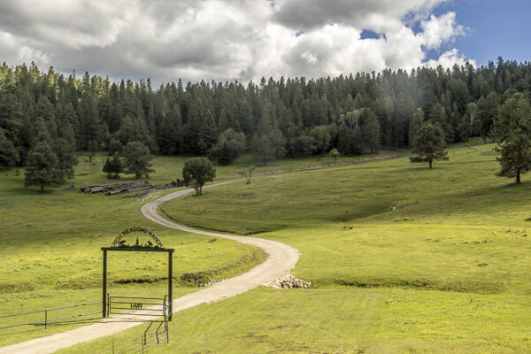 this would be a dream driveway