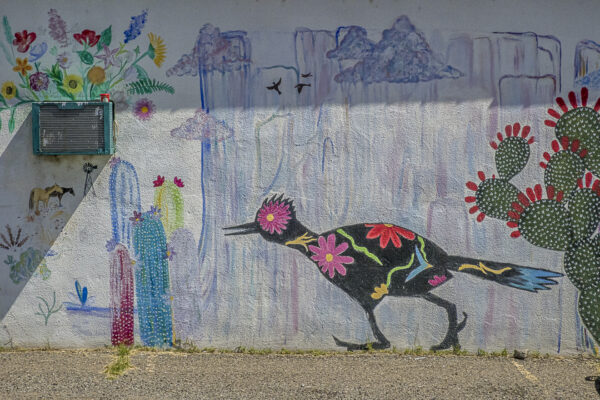 The roadrunner is guiding us home