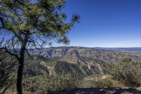 on our way to Gila Cliff Dwellings 2,880müM / 9,450ft