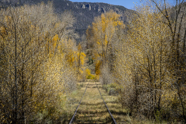 ... coming home by rail
